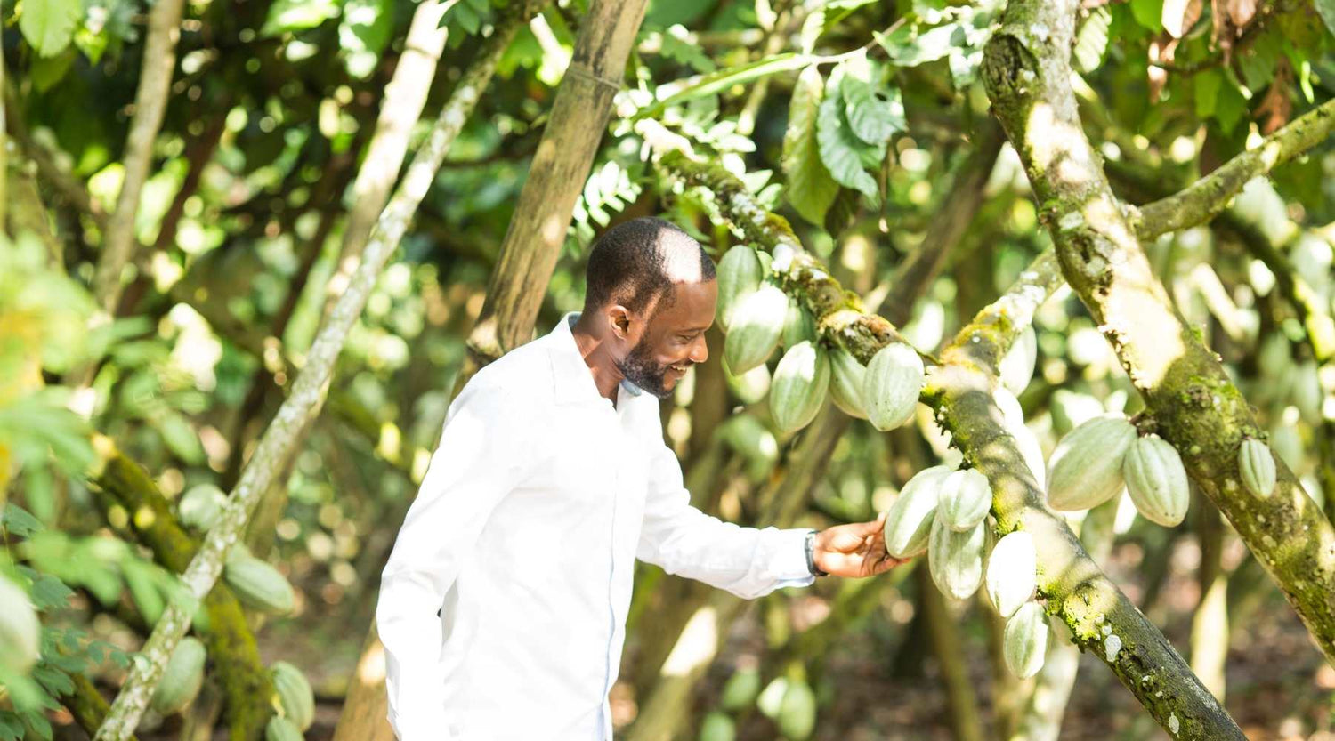 Single Origin Schokolade