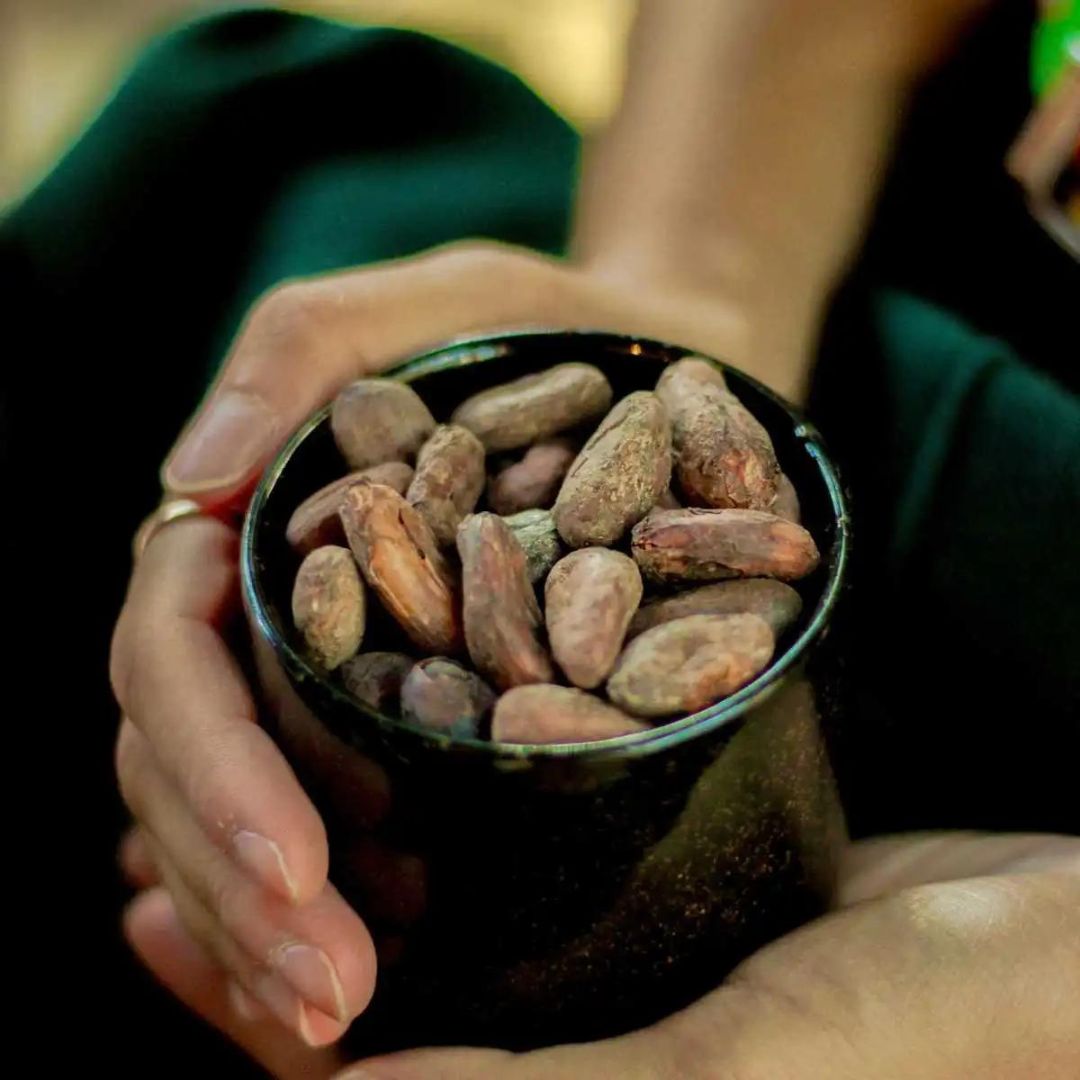 Kakaobohnen – geröstet & pur