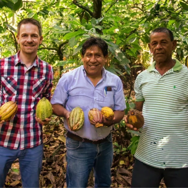 definite schokolade aus der dominikanischen republik