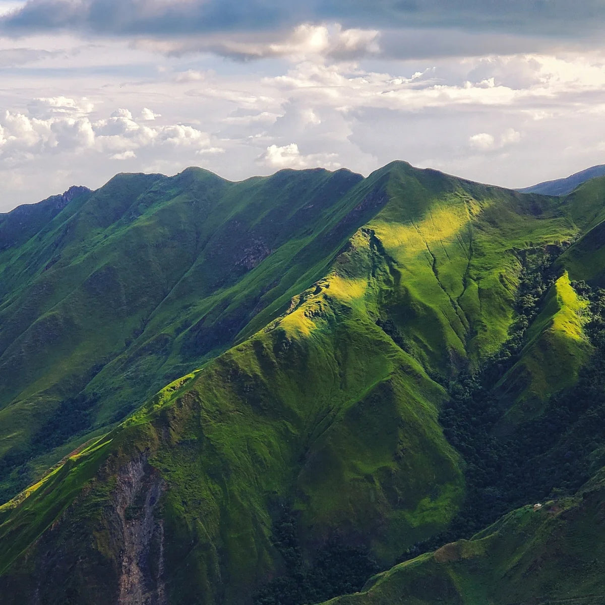 ursprungsland venezuela