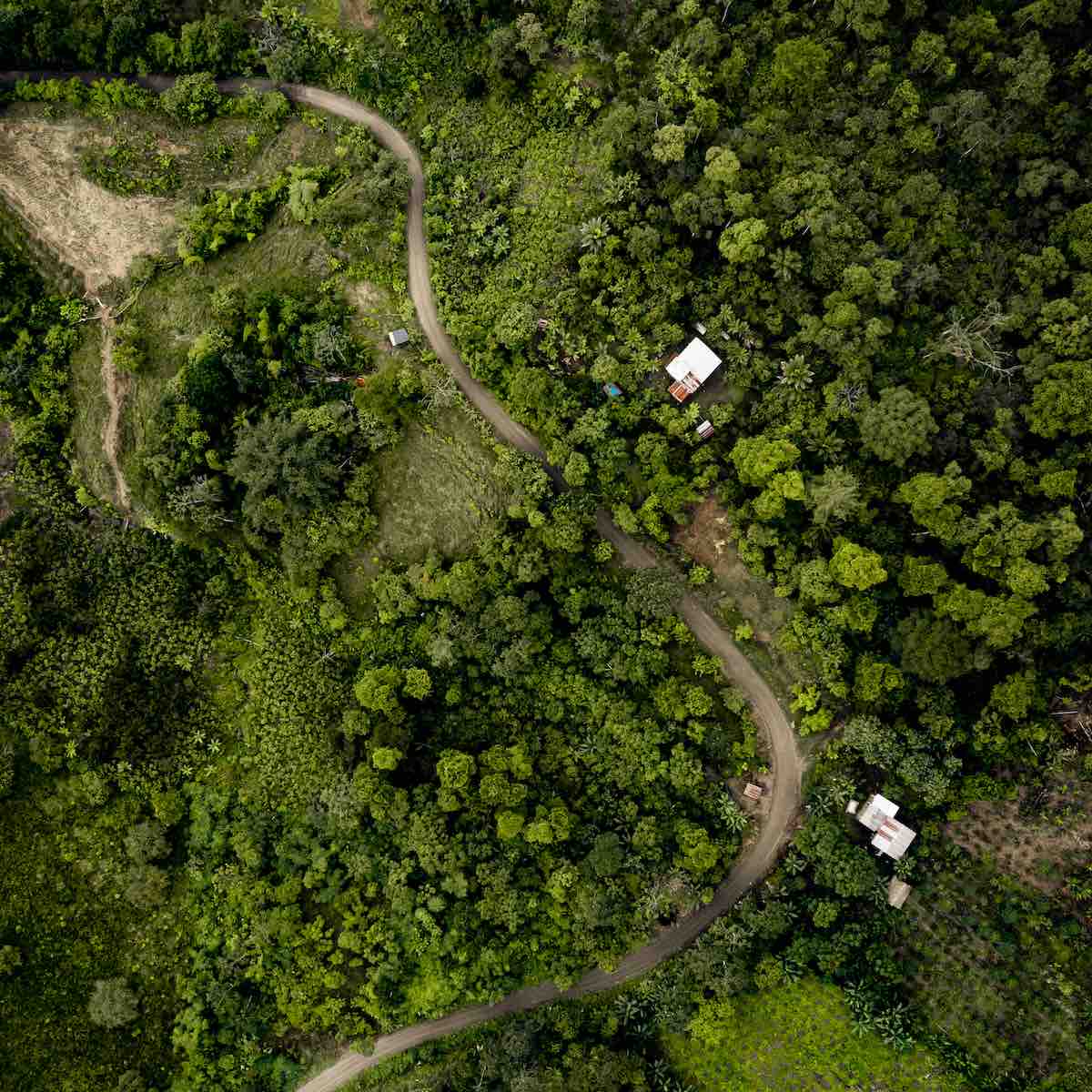 ecuador urpsrungsland für Kakao