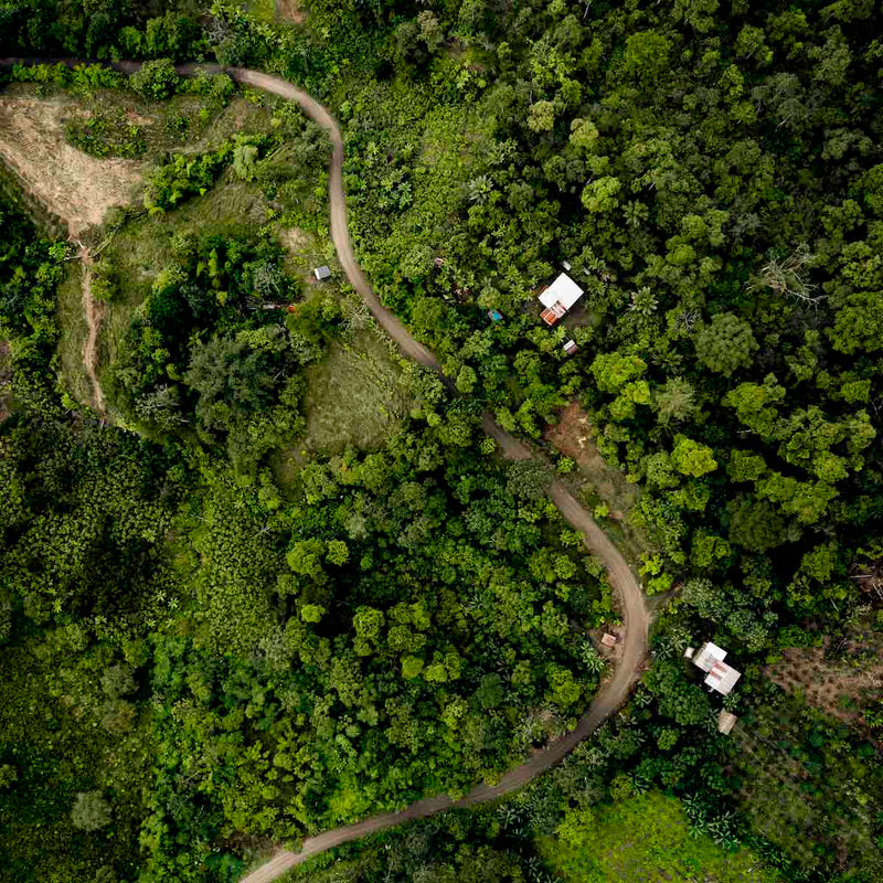 ecuador urpsrungsland für Kakao