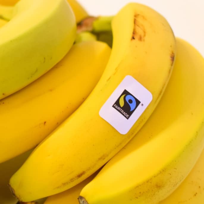 Was ist die Kritik am Fairtrade-System?