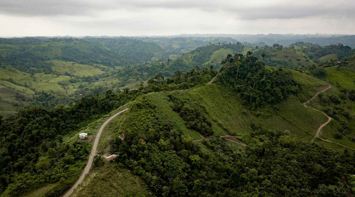 Permakultur Kakao Fairstainability