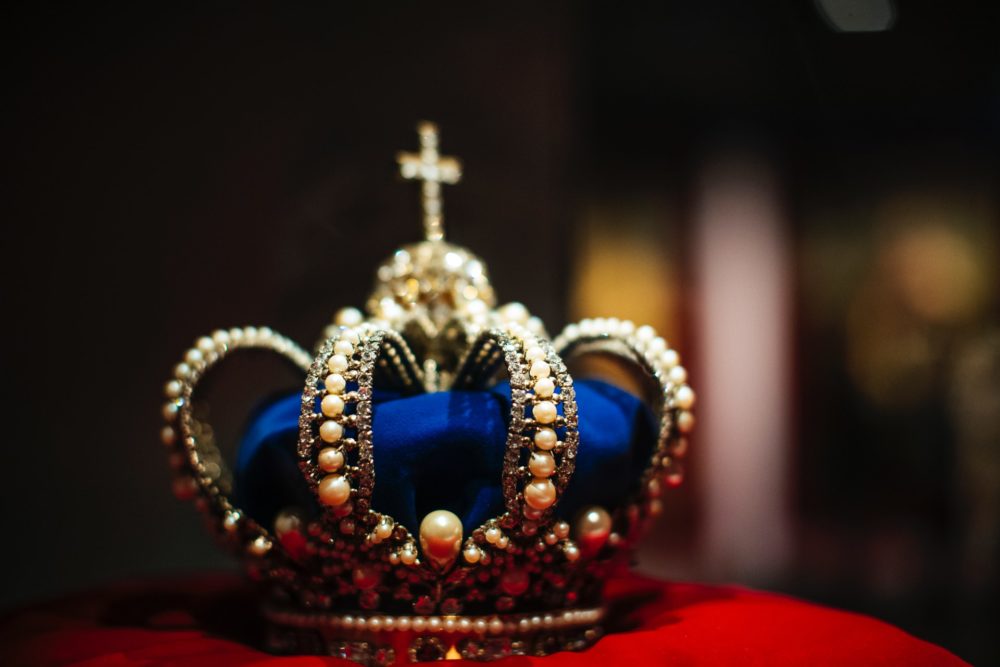 Ist Criollo wirklich King? Alles, was Ihr über Kakaosorten wissen müsst
