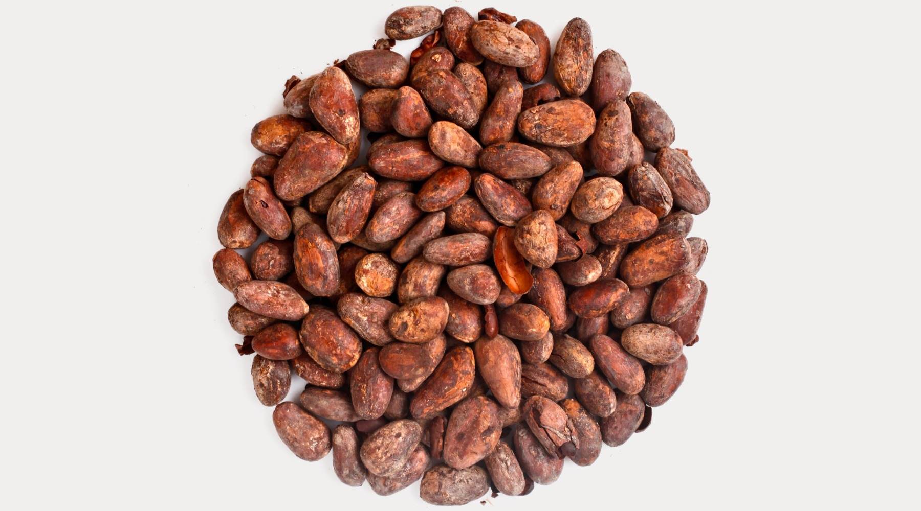 Kakaobohnen für Bean-to-bar Schokolade