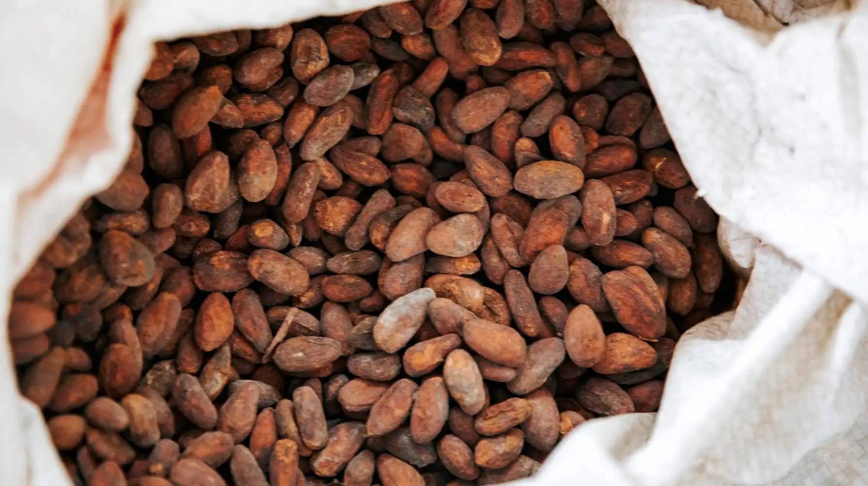 Original Beans: Schokolade gegen Klimawandel