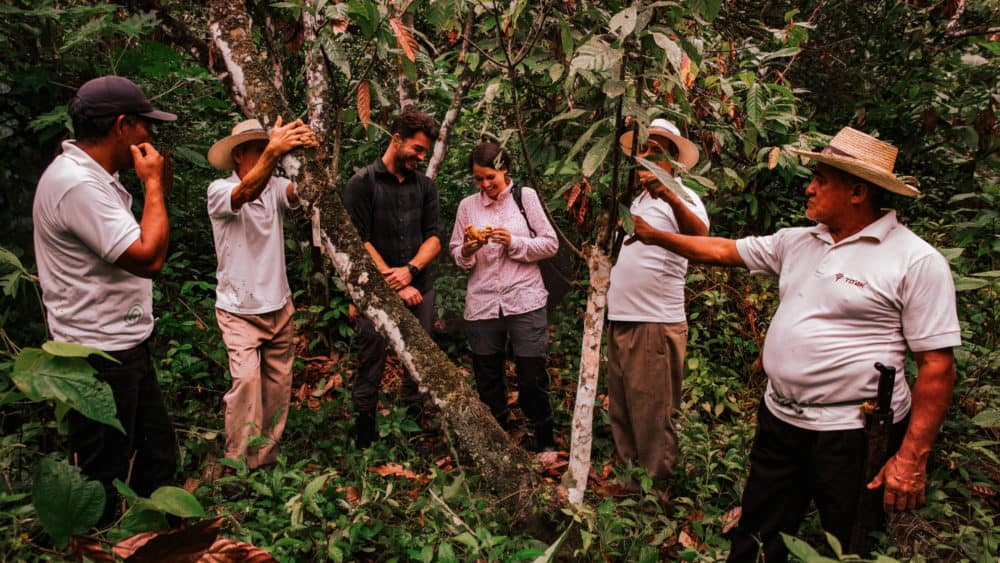 Von den Alpen zu den Anden: unsere Reise zum Ursprung des Kakaos