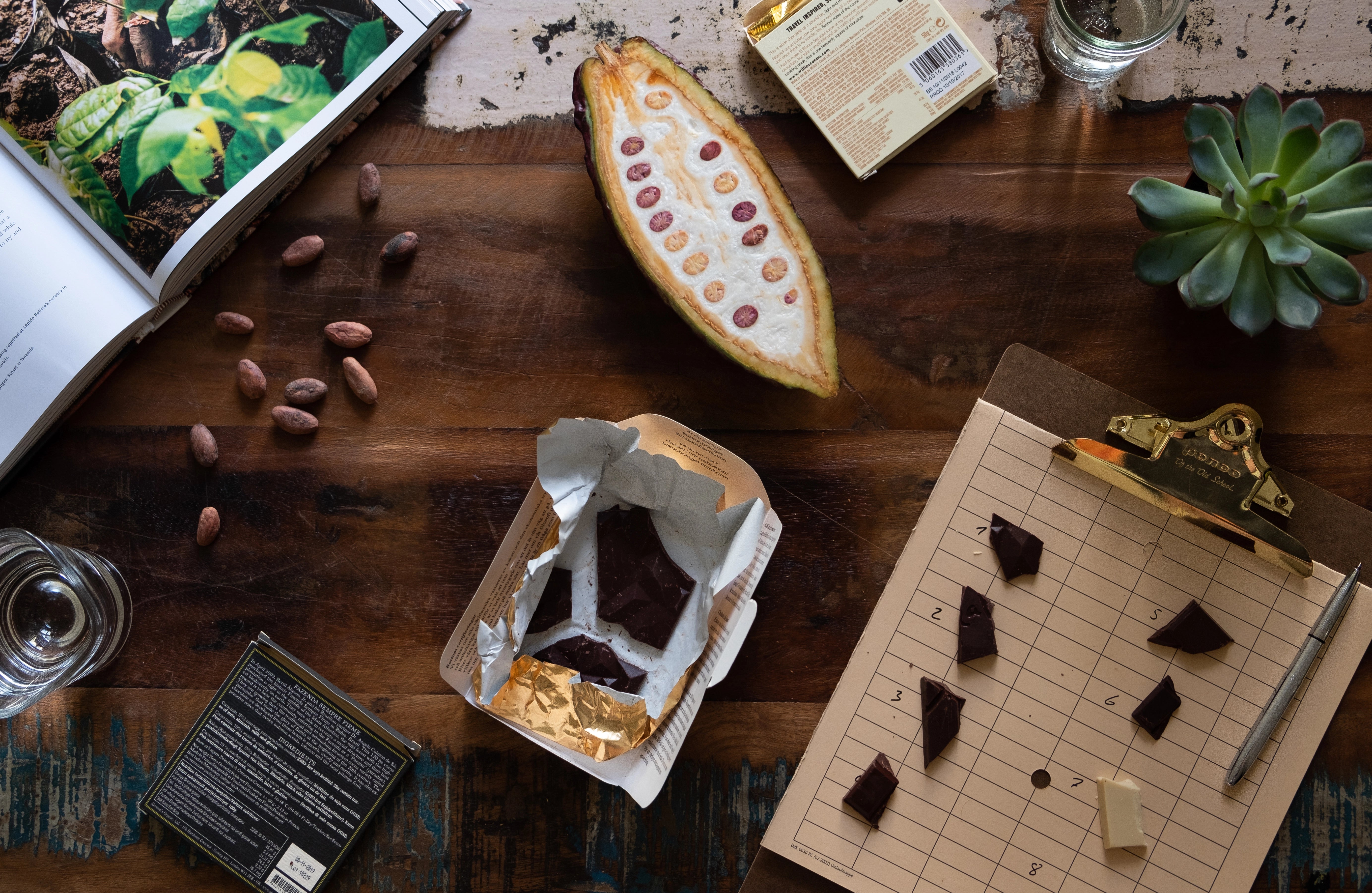 Chocolate Tasting für mehr Verbundenheit & Selbstfürsorge für die Online Sales Academy